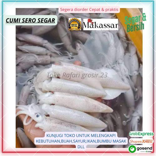 Cumi Putih Fresh Makassar, cumi sero, cumi putih, cumi sero segar,cumi putih segar, cumi laut segar,
