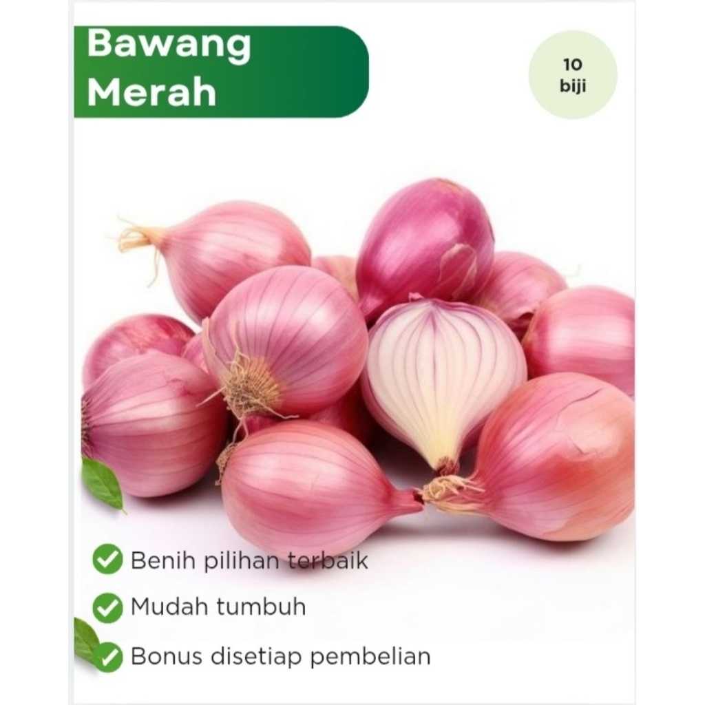 Benih Sayuran Bawang Merah Lokananta
