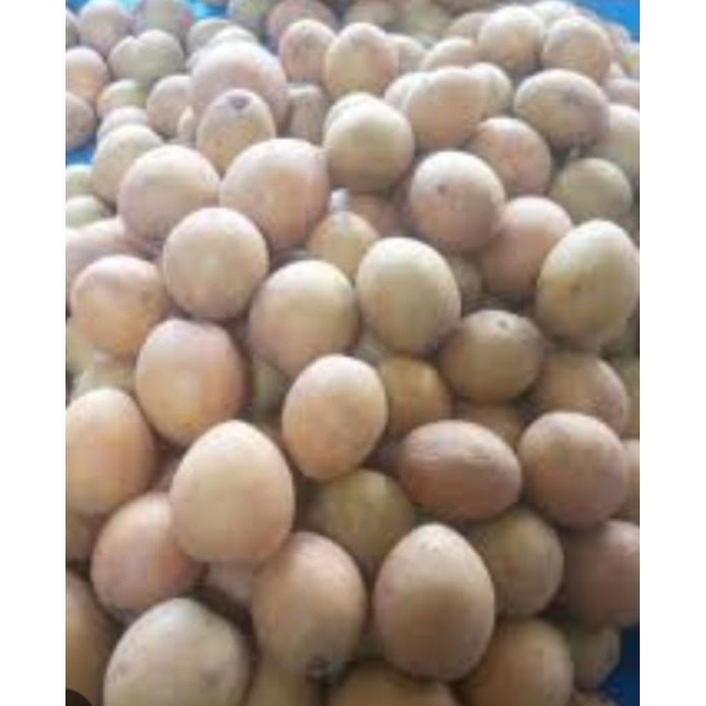 Buah Sawo Manila/Sawo Madu 1kg