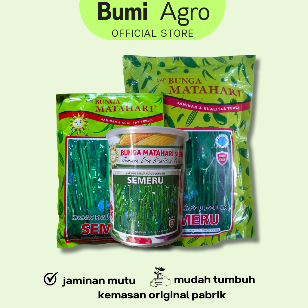 Benih Kacang Panjang  SEMERU 500 gr Kaleng Cap Bunga Matahari Unggul Lebat Simpan Lama