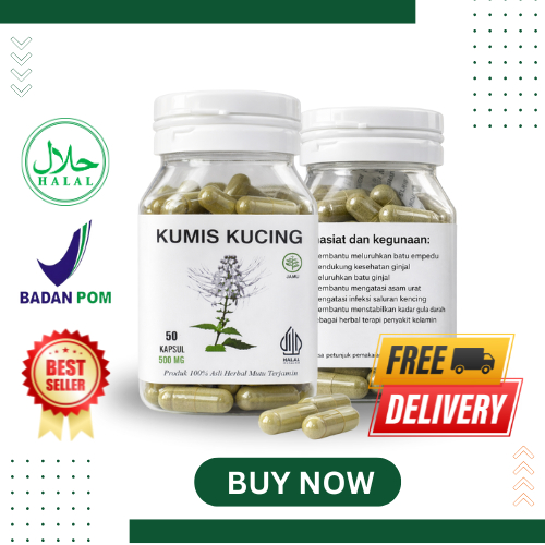 Kapsul Kumis Kucing Original Herbal Isi 50 ( ISK, Ginjal, Asam Urat )