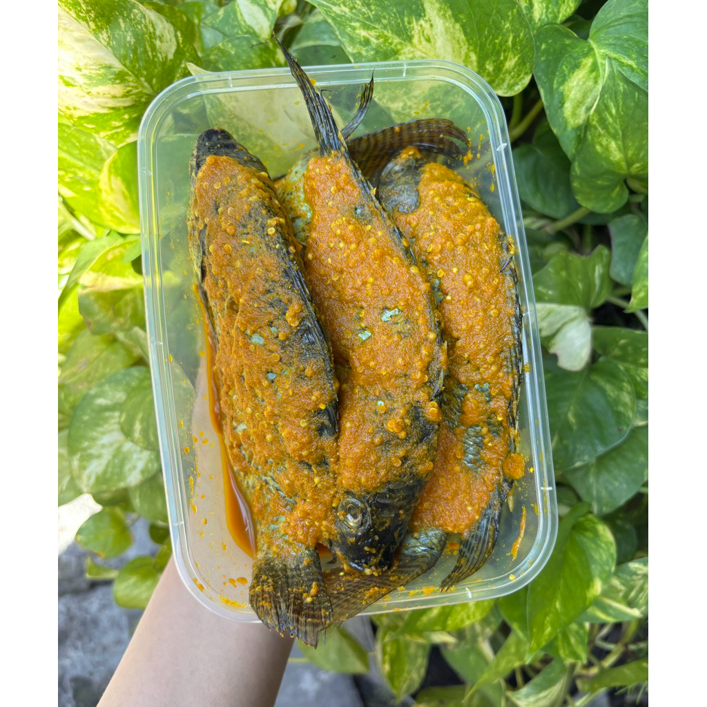 Ikan mujair Bumbu Kuning / Ikan Nila bumbu kuning siap goreng