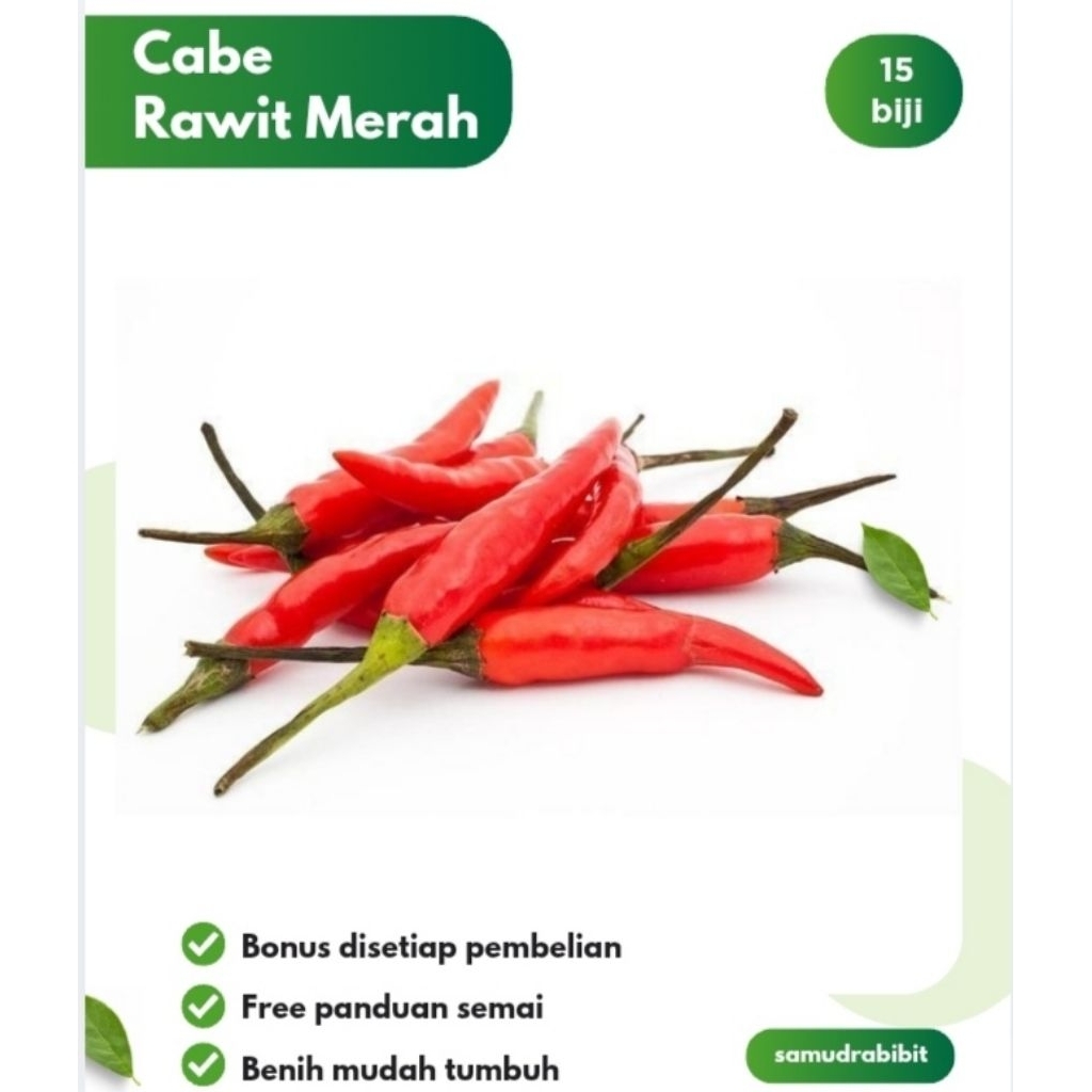 Benih Cabe Rawit Merah Unggul F1 Hibrida