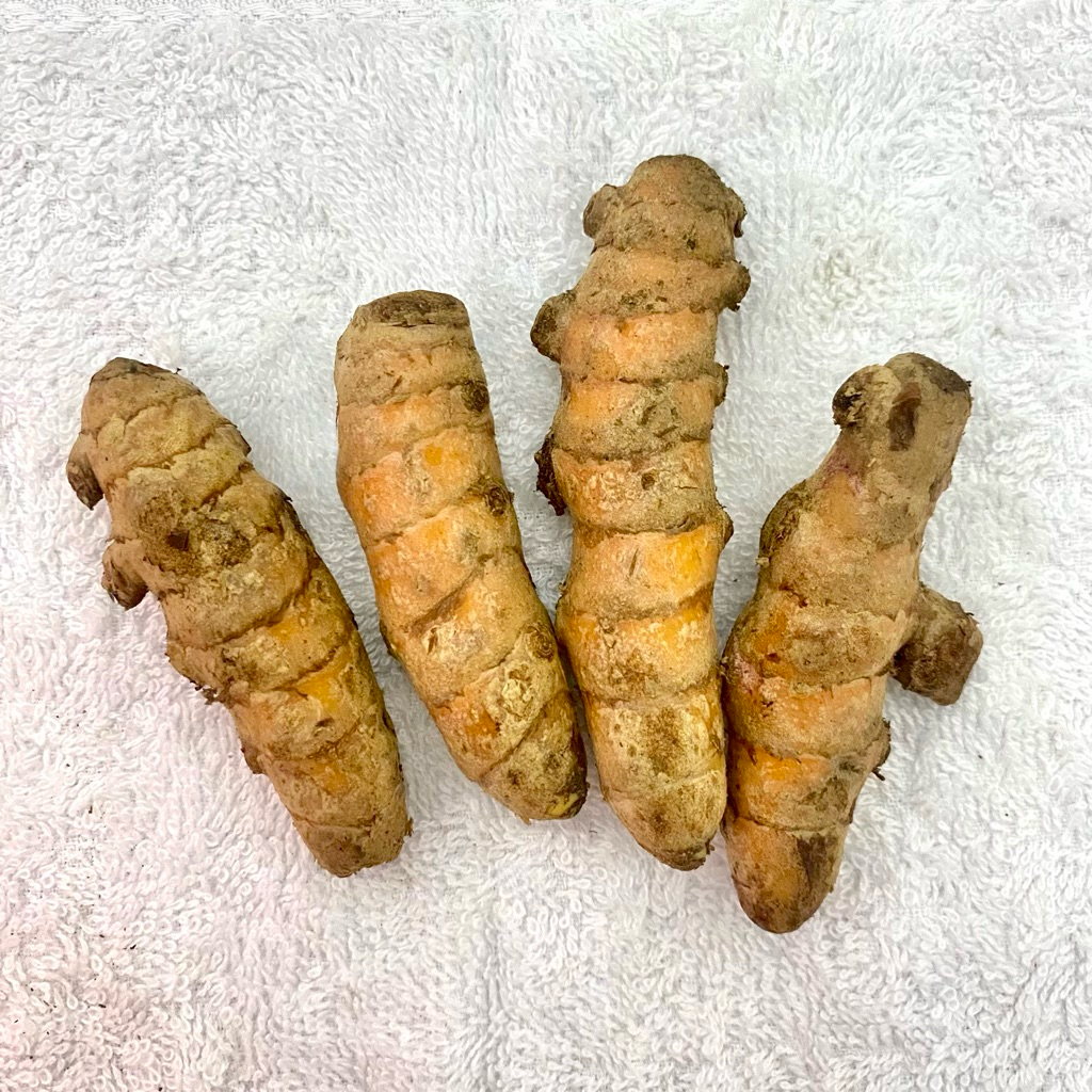 Kunyit / Kunyit kuning / Kunyit fresh