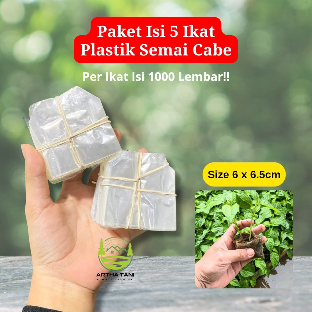 Paket Isi 5 Ikat Polybag Semai Cabe Isi Ratusan Lembar-Polybag Semai Cabe Isi 5 Ikat Murah-Polybag S