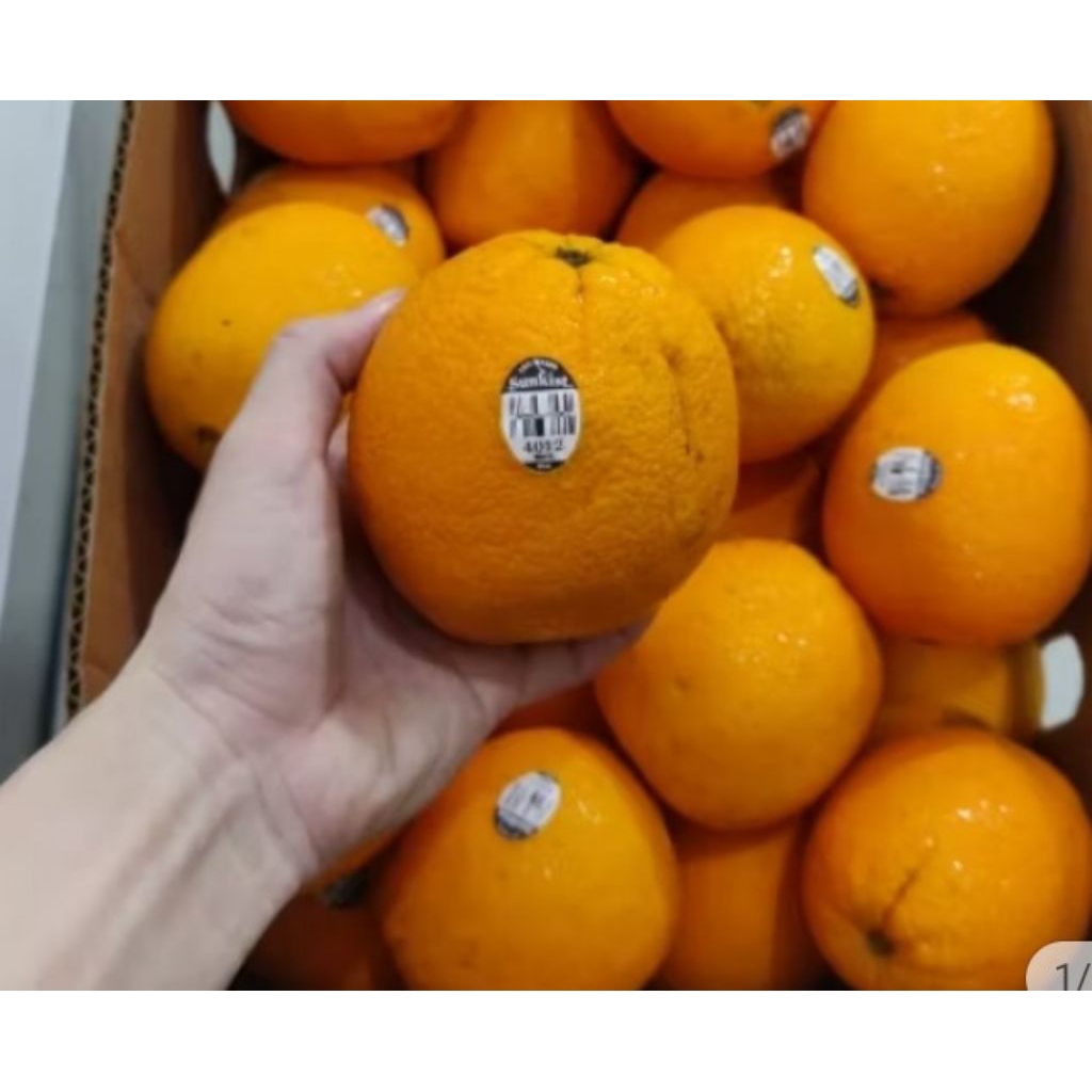 Jeruk Sunkist Neval Australia