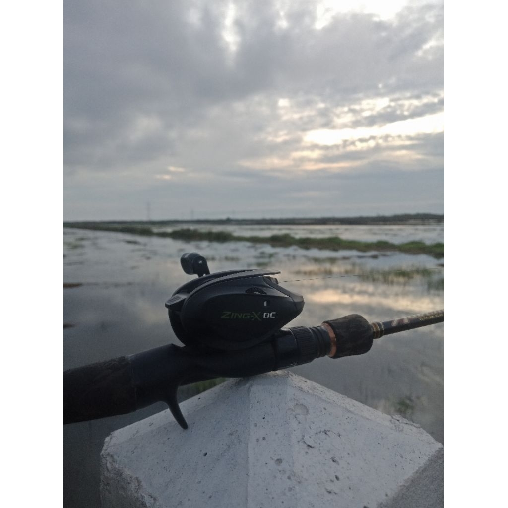 reel bc zerox zingx dc