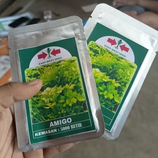 Benih Seledri AMIGO Cap Panah Merah 5.000 Butir - Daya Tumbuh Tinggi, Daun Hijau Muda, Produktif
