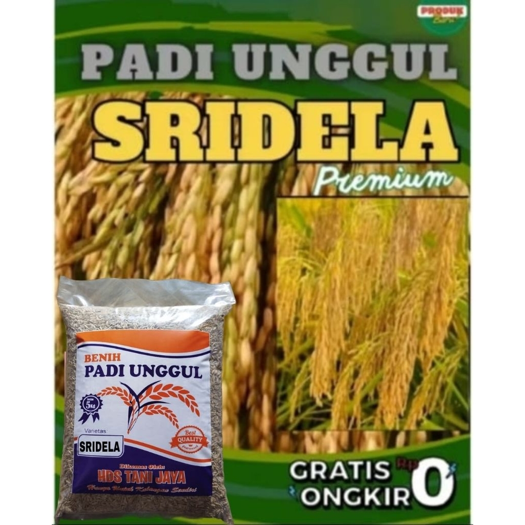 5KG BENIH PADI SRIDELA SUPER LABEL PUTIH ORIGINAL