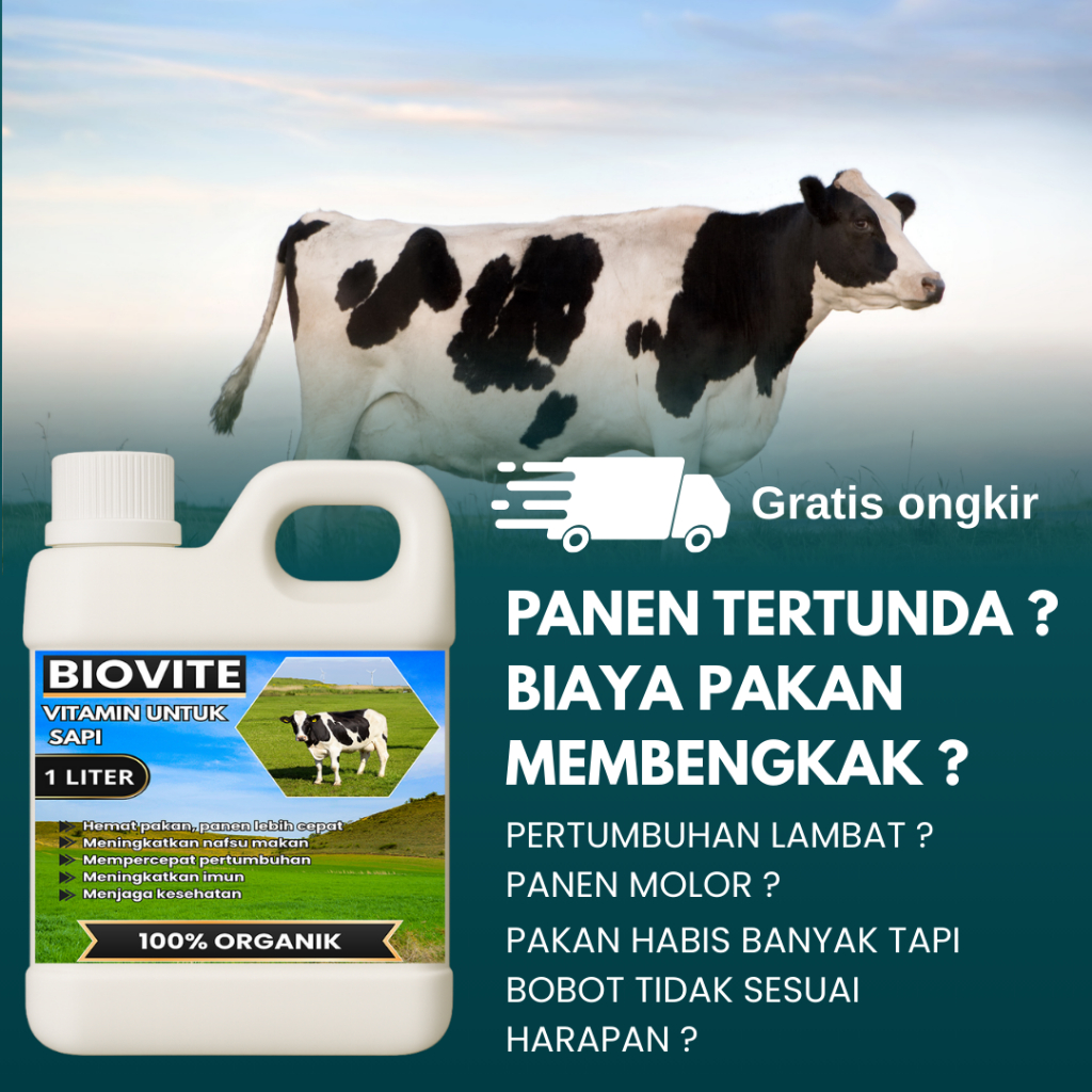vitamin untuk sapi-vitamin sapi probiotik-vitamin khusus ternak sapi