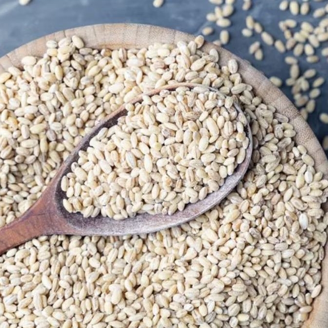 Biji Barley Putih Kecil Holland Barley Biji Jali Jali 1kg