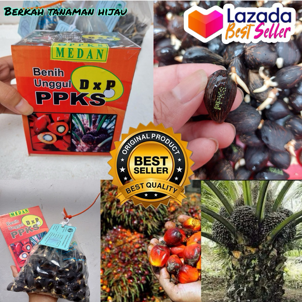 TERJAMIN PPKS 239 ASLI TERLARIS