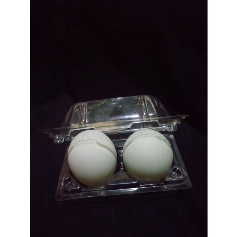 SR GROSIR [ECERAN] Mika Tray Telur IS I 2 | Tray Telur Ayam Bebek | Mika Telur Dengan Pengunci