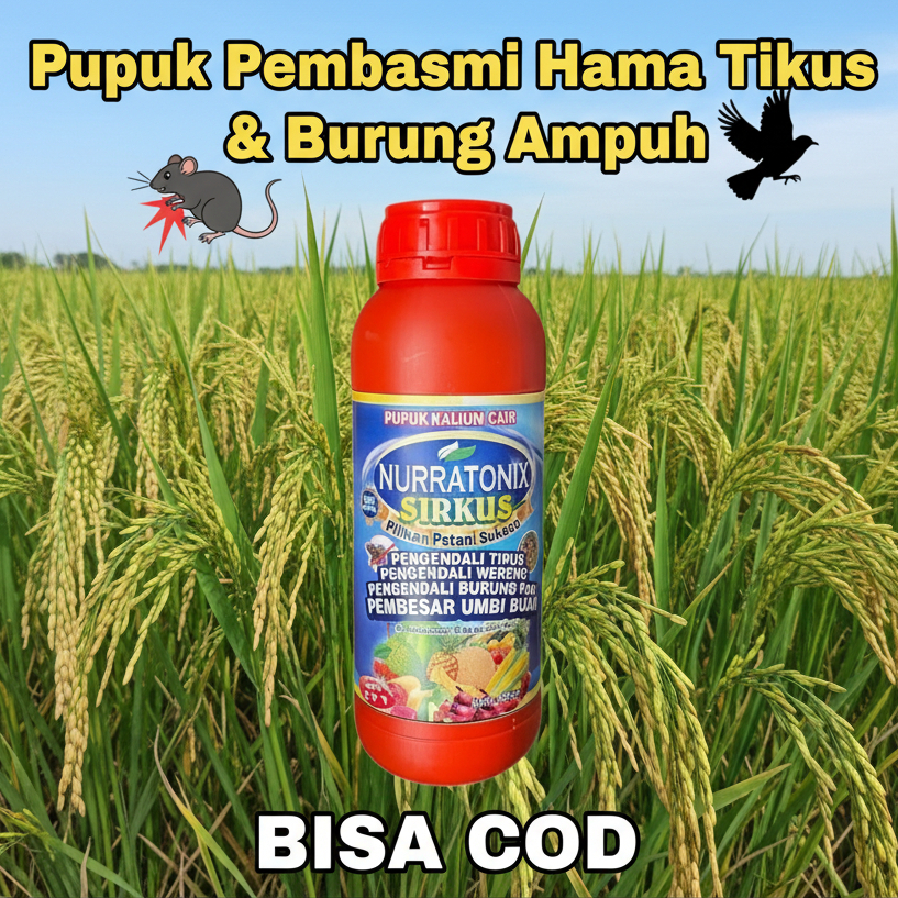 Racun Tikus Cair PALING AMPuh NURRATONIX SIRKUS | Anti Tikus Sawah, Gudang, Rumah & Kebun | Tikus Ma