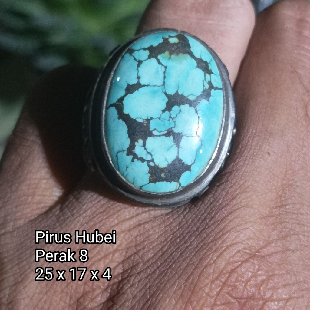 Pirus Hubei Lawasan.