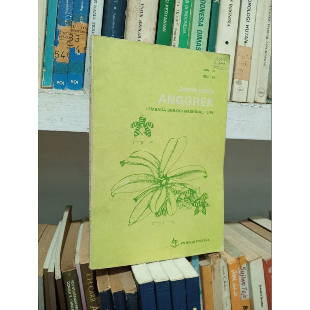 JENIS JENIS ANGGREK
