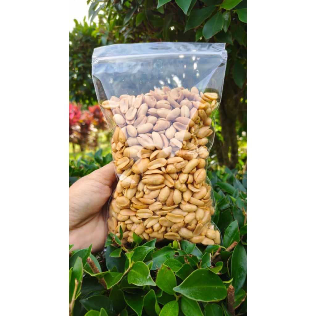 kacang bawang / kacang thailand ashoka
