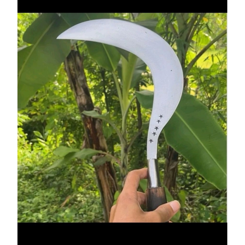 sabit arit bahan baja per murni alat pengaritan