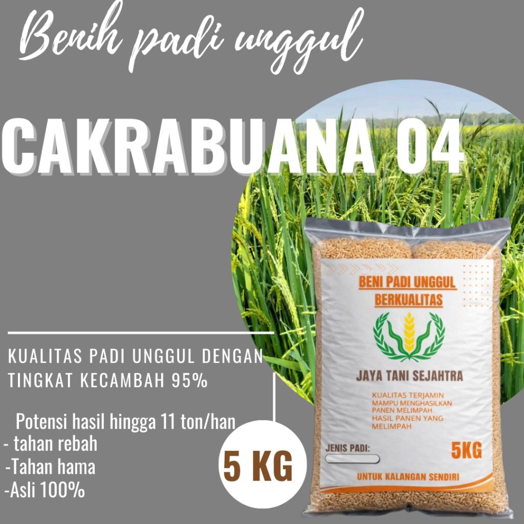 BENIH PADI CAKRABUANA 04 kemasan 5KG