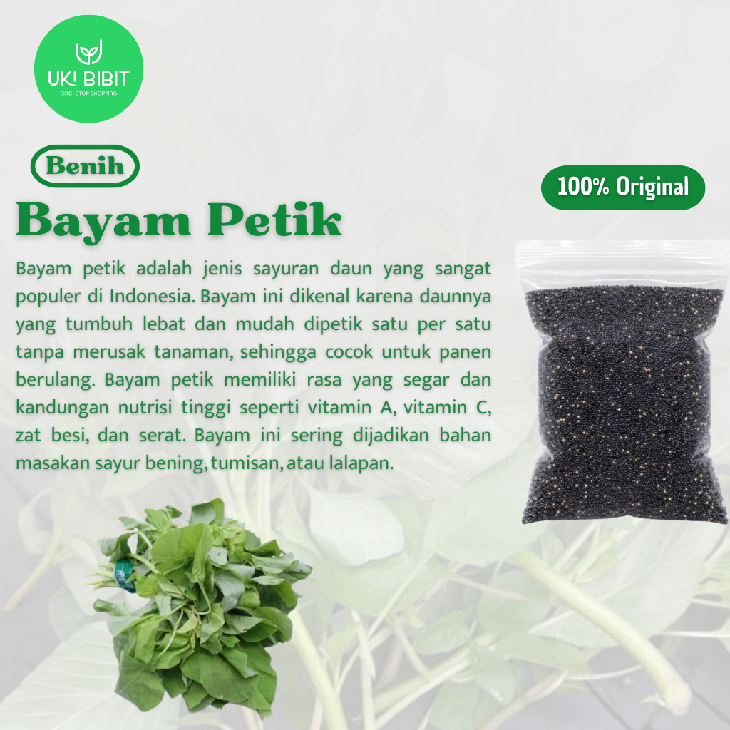 ( 10 Gram ) Benih Biji Bayam Petik | Bayam Kakap | Bayam Daun Lebar