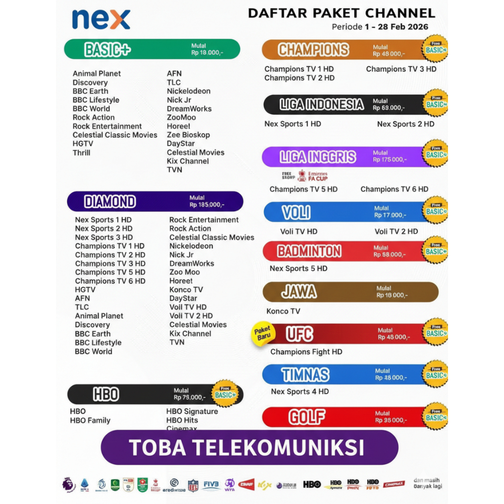 Paket Basic Nex Parabola Basic