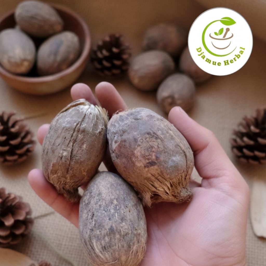 buah pinang kering utuh dengan kulitnya 200gram kualitas premium original