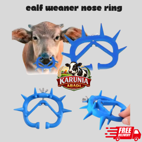Calf Weaner Nose Ring / Alat Penyapih Anak Sapi, Kuda, Kerbau