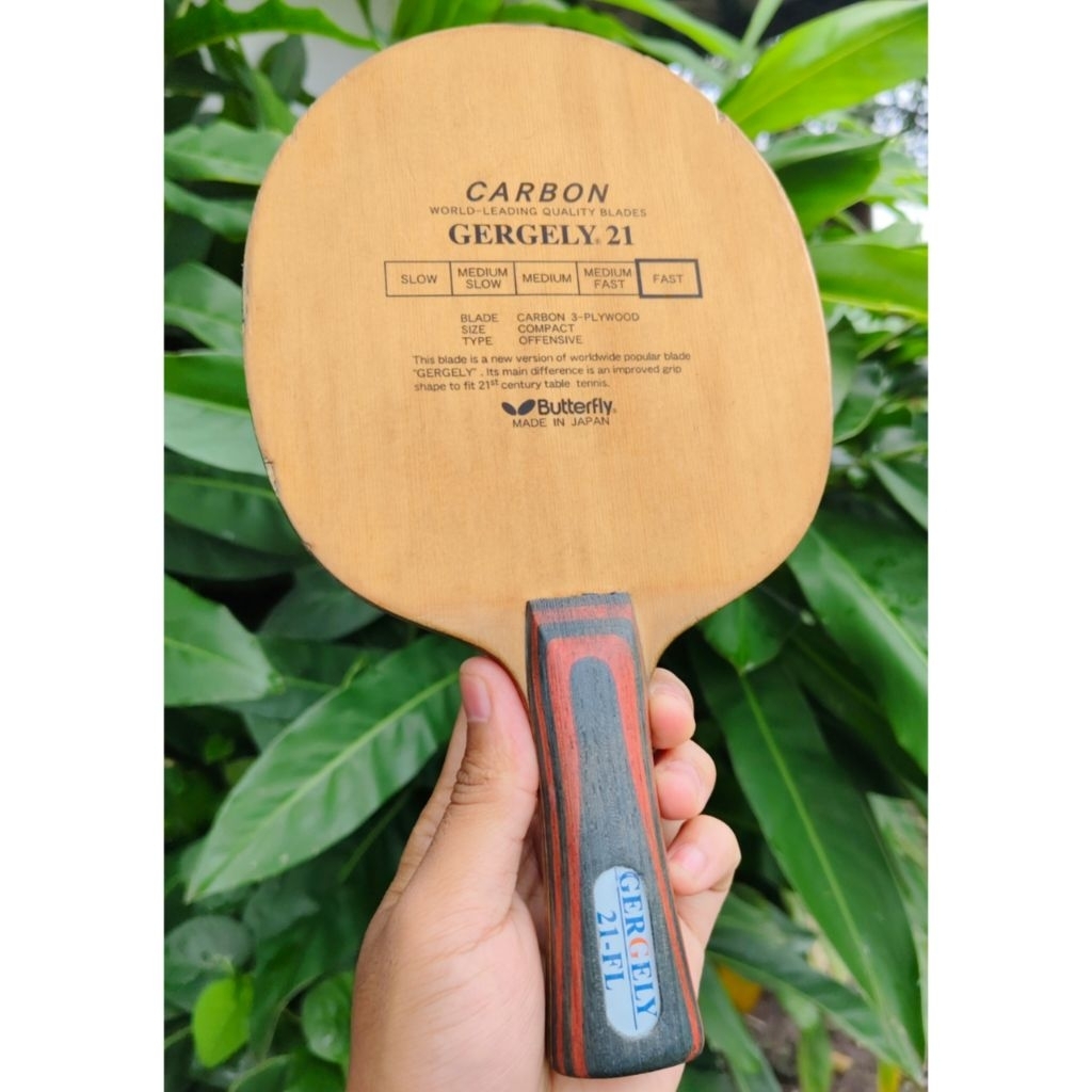 Butterfly Gergely 21 Oldtag / Kupu Hitam / Tag Lama