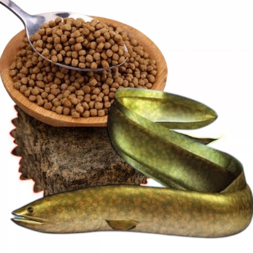 100 Gram pakan ikan Sidat Pelet ikan Sidat