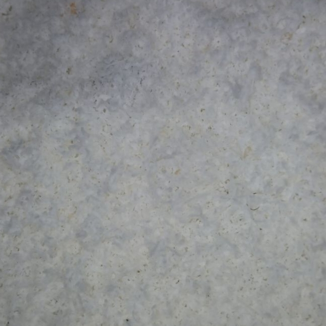 kelapa parut kering wangi kemasan 250 gram buatan sendiri di parut manual bukan import