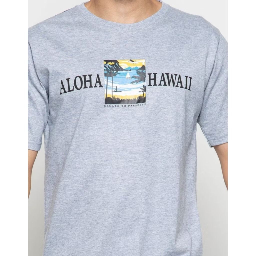 Kaos Pria T Zone Size S Matahari