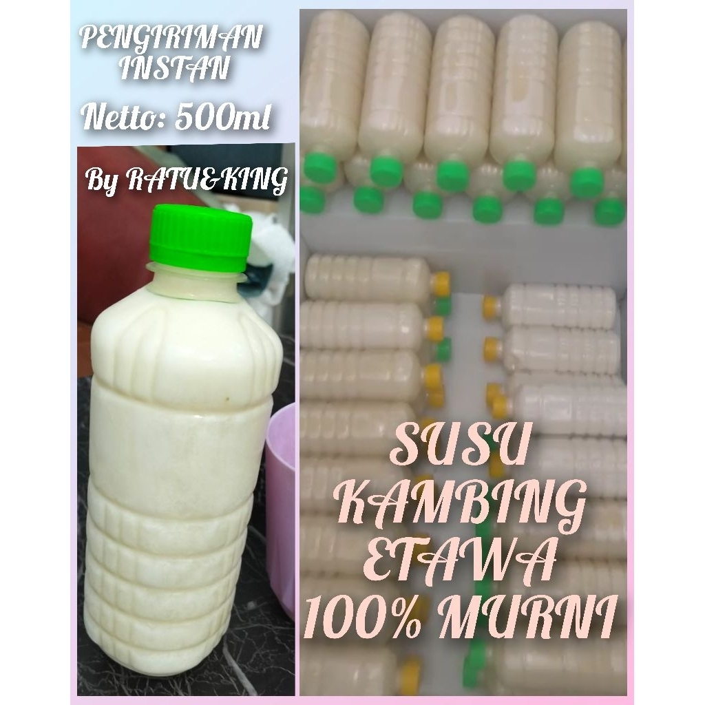 susu kambing etawa murni 100% susu segar