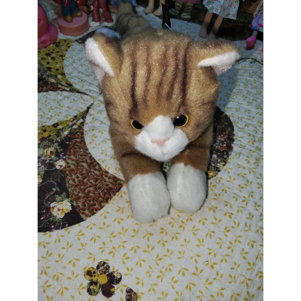 kucing bearington plush