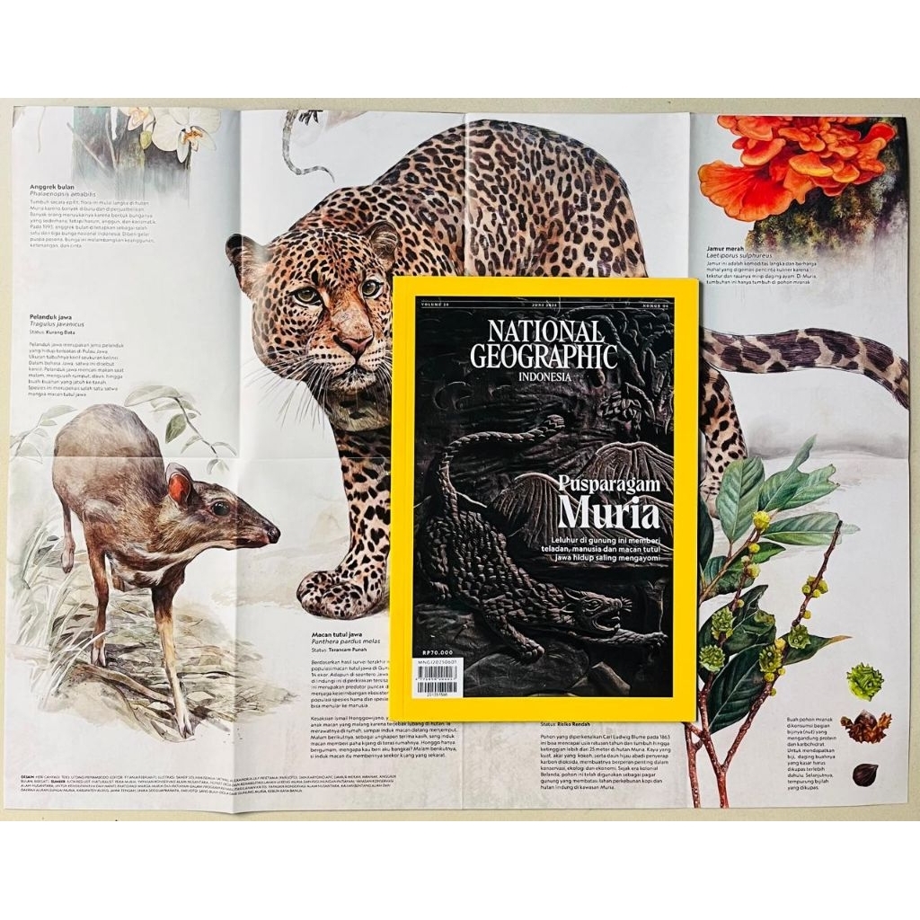 Majalah National Geographic Juni 2025 : Pusparagam Muria - Leluhur di Gunung ini memberi teladan man