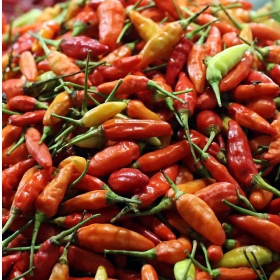 Cabai Rawit Fresh/Cabai Lokal kualitas terbaik