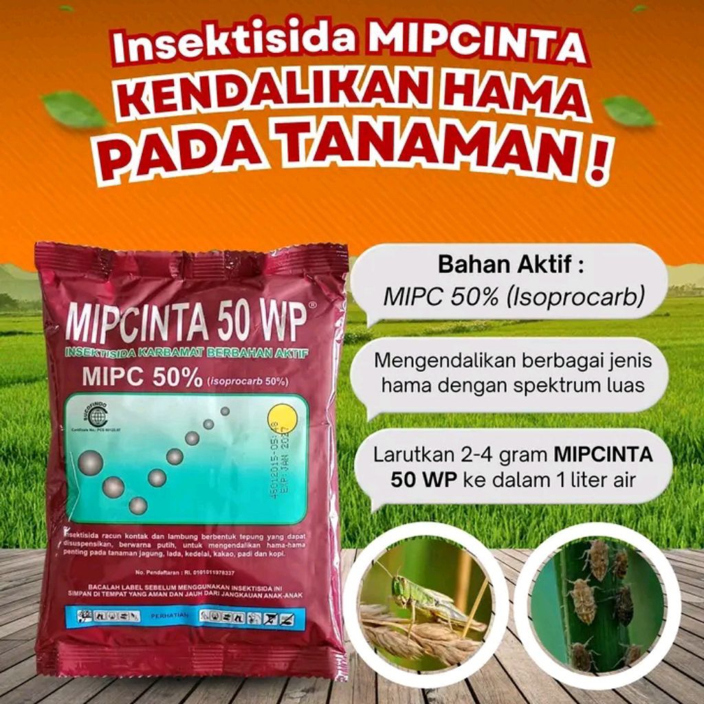 Insektisida MIPCINTA 50 WP (Pebasmi Semut & Kutu)