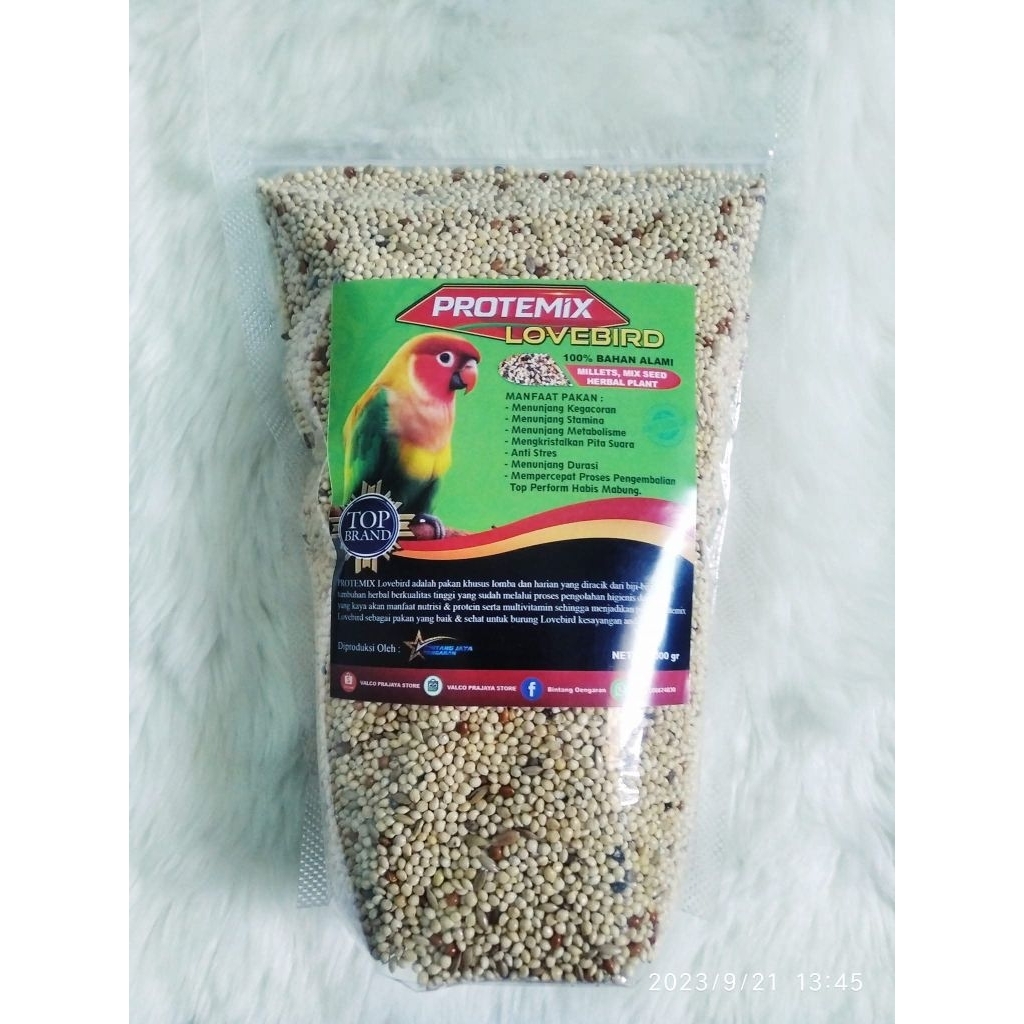 pakan herbal lovebird lomba