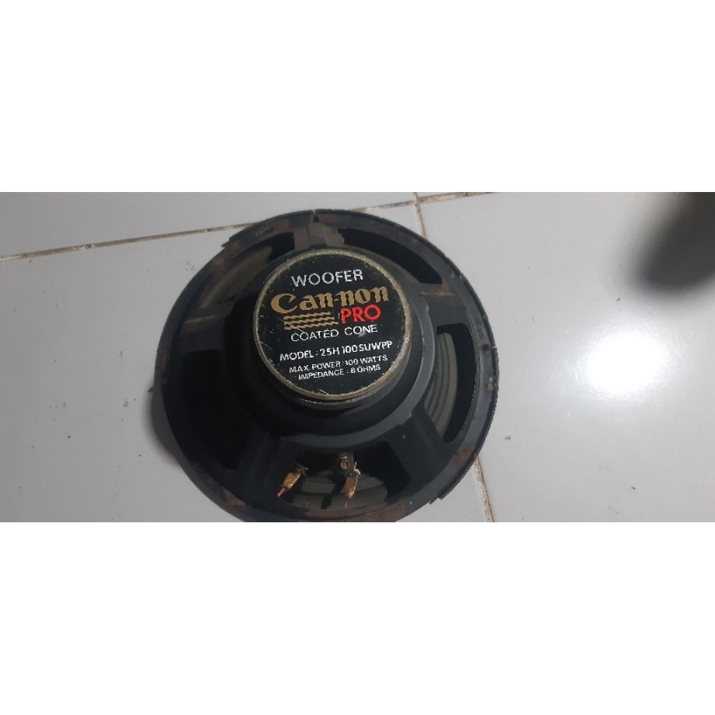 cangkang speaker canon 10in