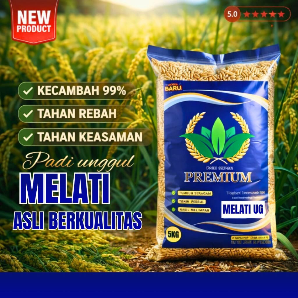 BENIH PADI UNGGUL UMUR 70 HARI BIBIT PADI UNGGUL BERKUALITAS ORIGINAL 5KG