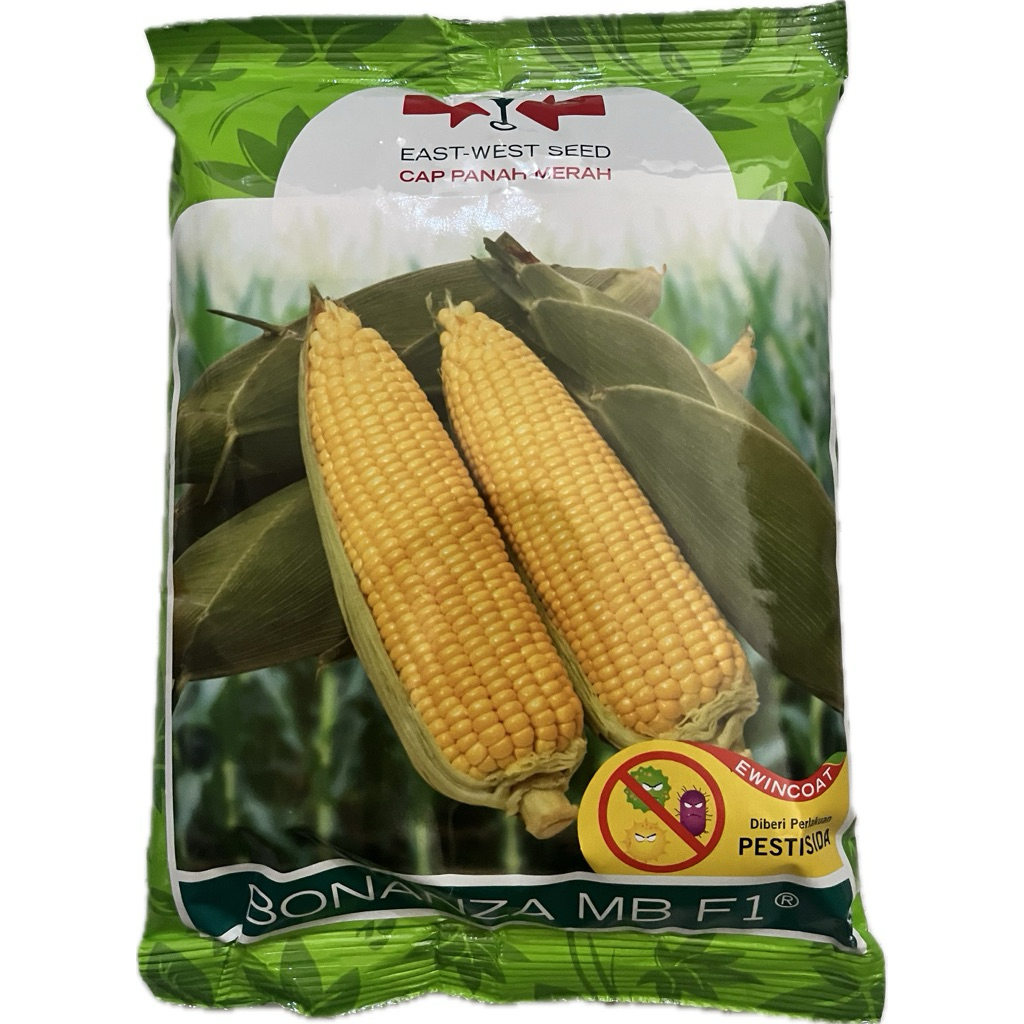 Benih/Bibit Jagung Manis Bonanza MB F1 kemasan 500gram
