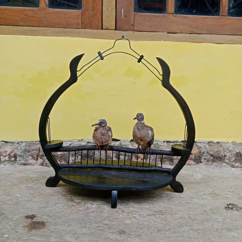SANGKAR LAYANG