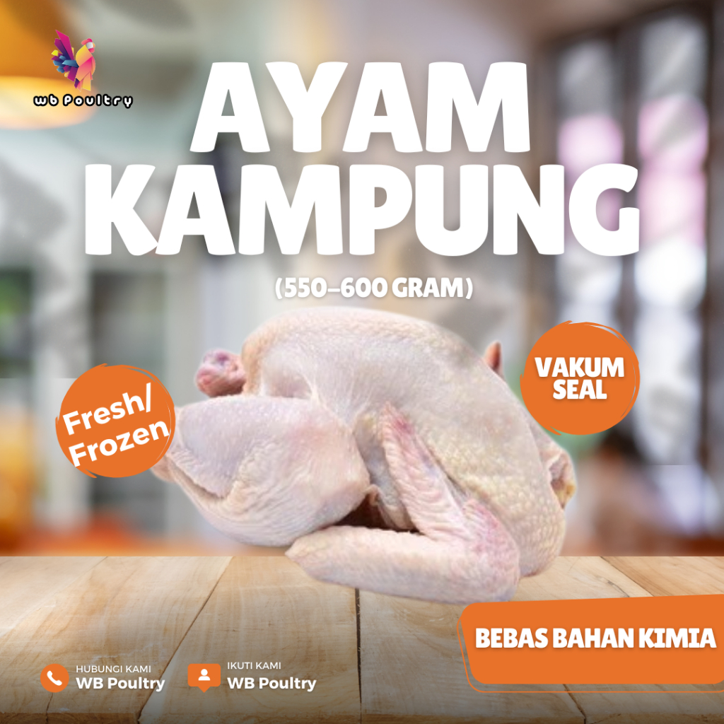 Ayam Kampung Asli Utuh 550–600g | Ayam Kampung Segar | Karkas Ayam Kampung | Vakum | WB Poultry