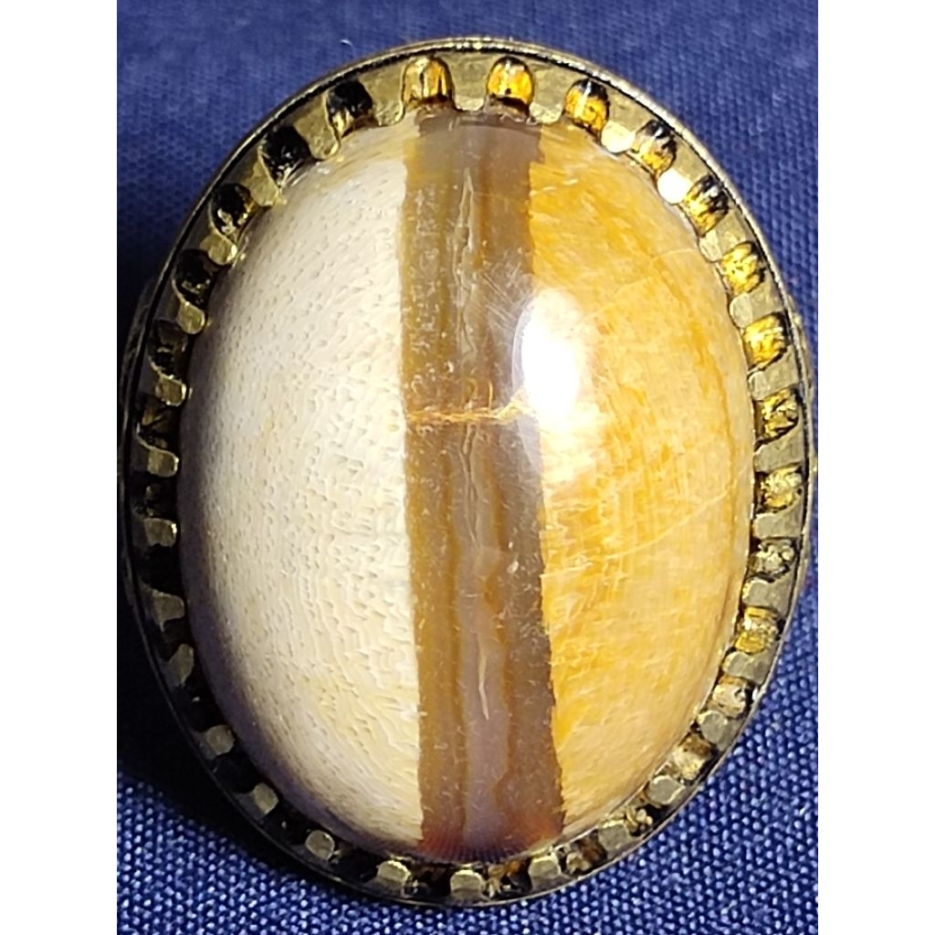 Natural Kelor Petrified Wood, MYSTIC / Batu Fosil Kayu Kelor, SAKRAL, PUSER + KENDIT + SODO LANANG +