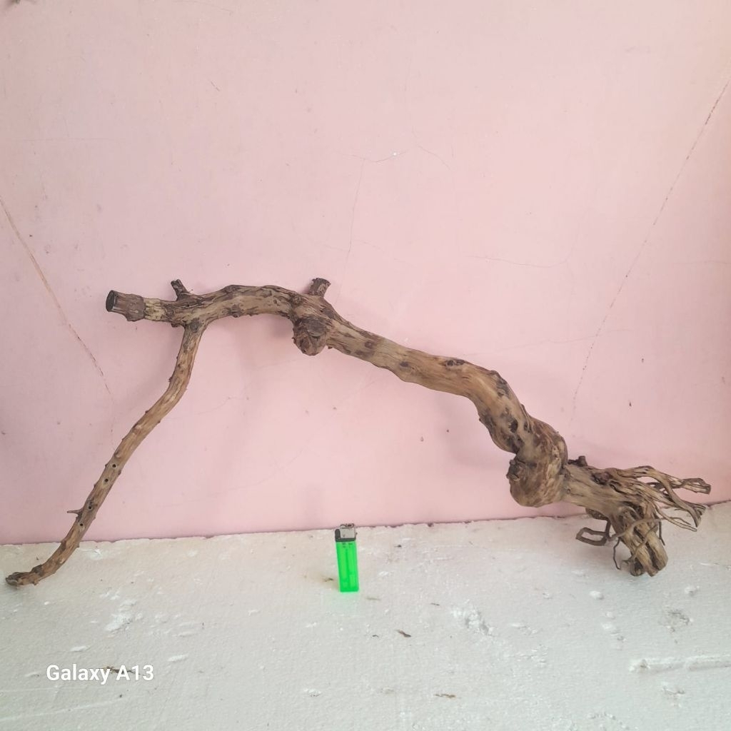 Kayu Aquascape - Kayu Santigi