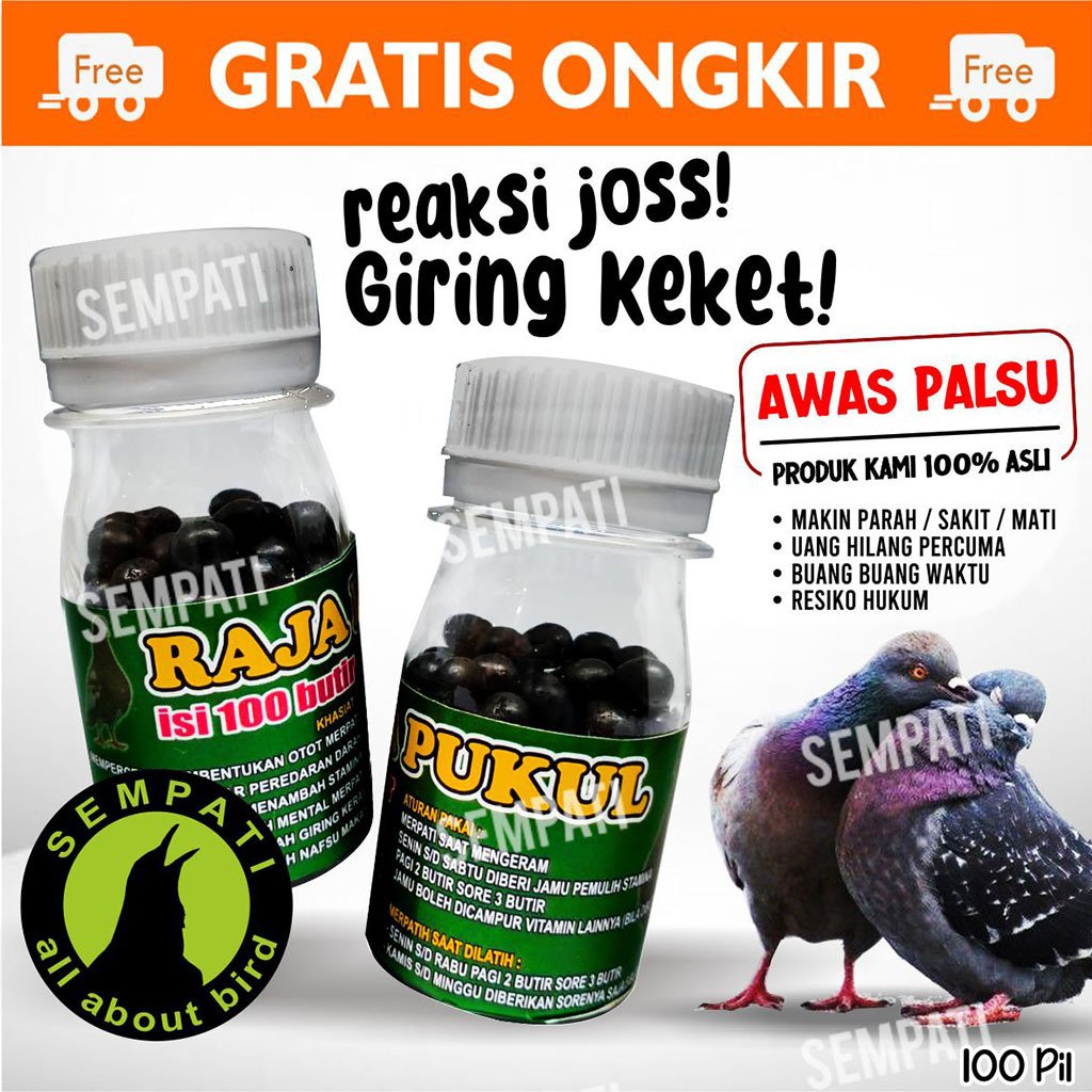 SEMPATI ISI 100 BUTIR JAMU MERPATI RAJA PUKUL-JAMU MERPATI BALAP-MERPATI KOLONG-MERPATI TINGGI VTRPK