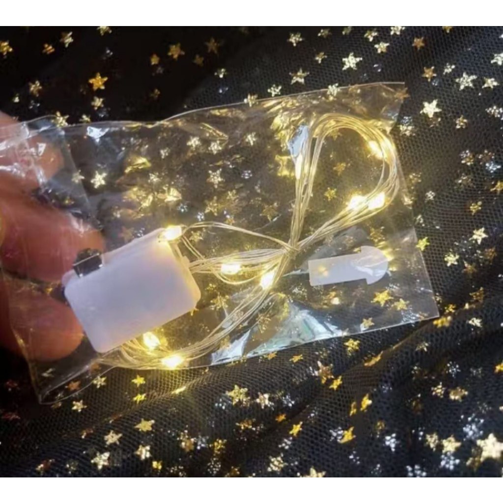 Lampu Kawat Tembaga LED 2M