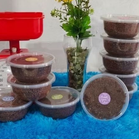 Tai Minyak Kelapa-Blondo Galendo-Klondo