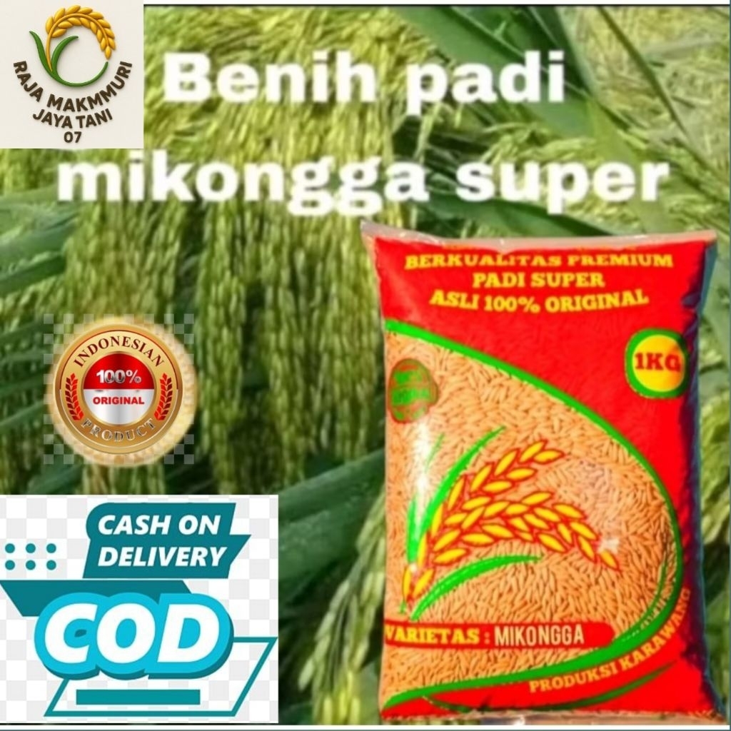 BENIH PADI  MEKONGGA SUPER BERKUALITAS 1KG