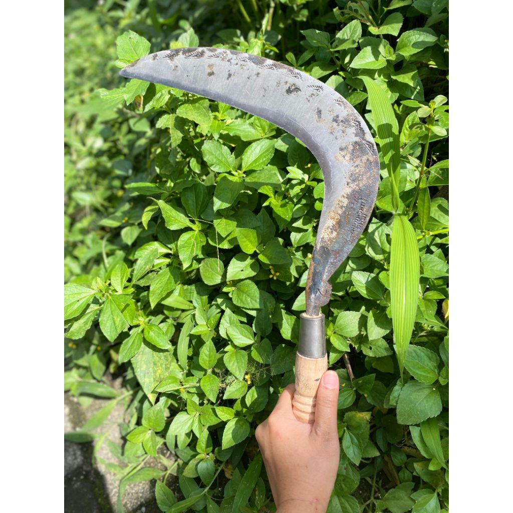 arit pemotong rumput baja isen selap4 cap mata superasahan Wonosobo