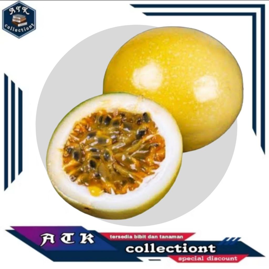 buah Markisa  1 kg / markisa segar
